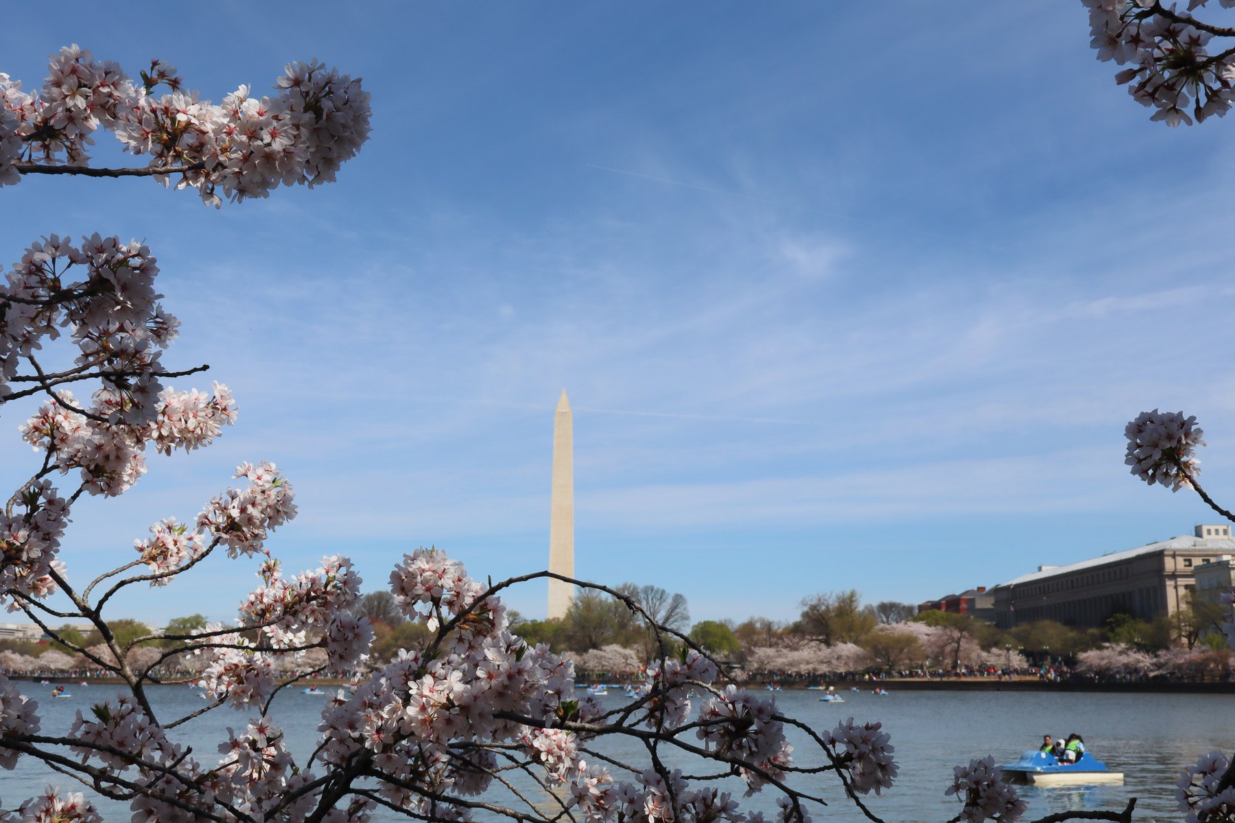The Tidal Basin